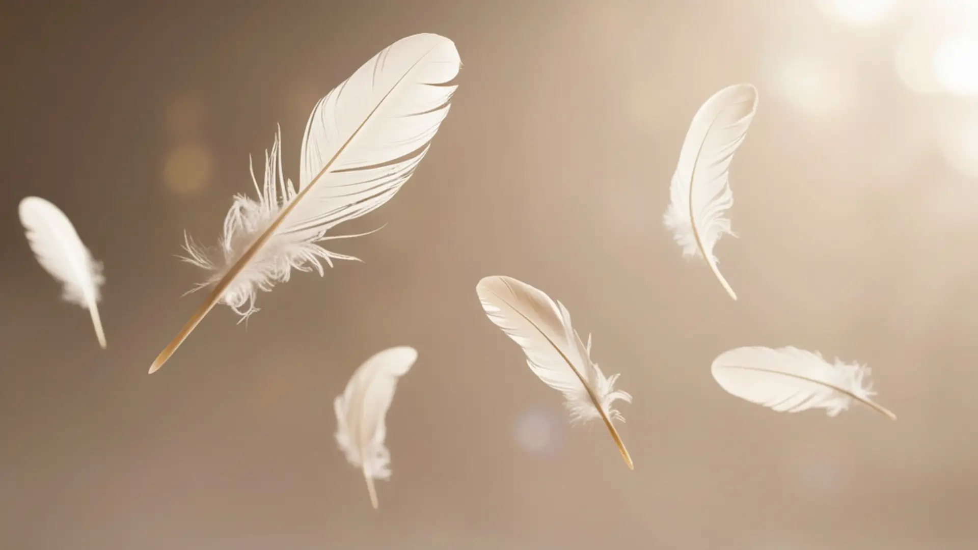Les synchronicités : pourquoi elles apparaissent et comment les interpréter