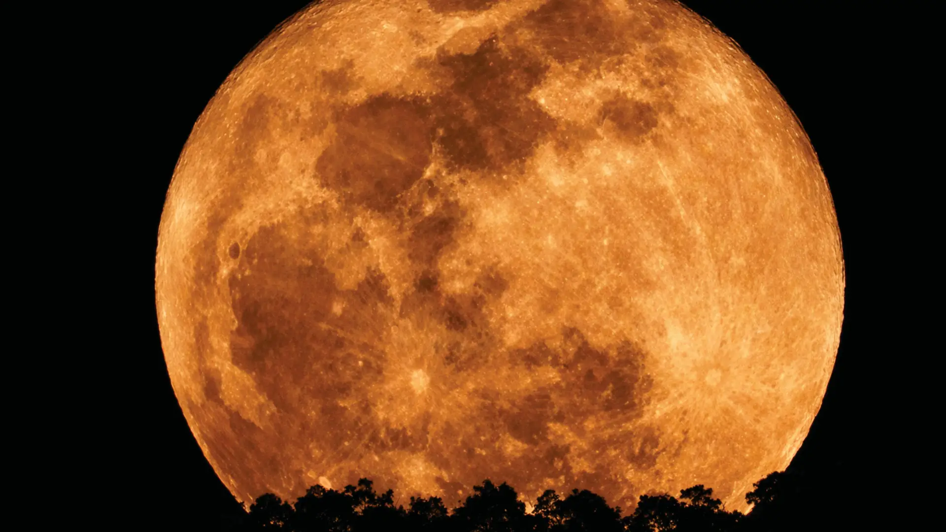 Pleine Lune : Influence sur nos Émotions et Conseils pour la Traverser avec Sérénité